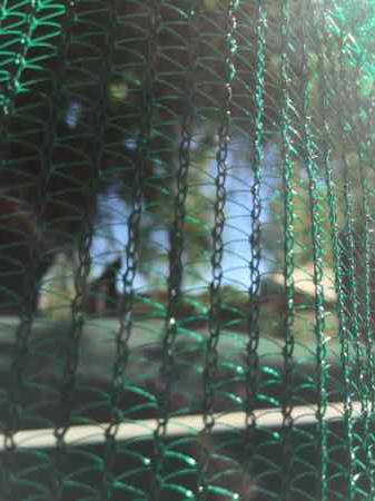 green shadecloth